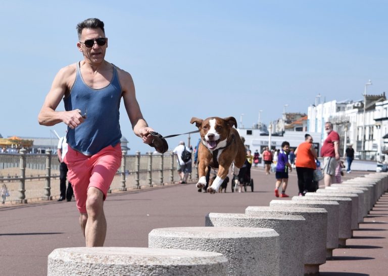 beach-coast-person-running-run-dog
