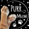 Mini Placa Decorativa Purr Meow