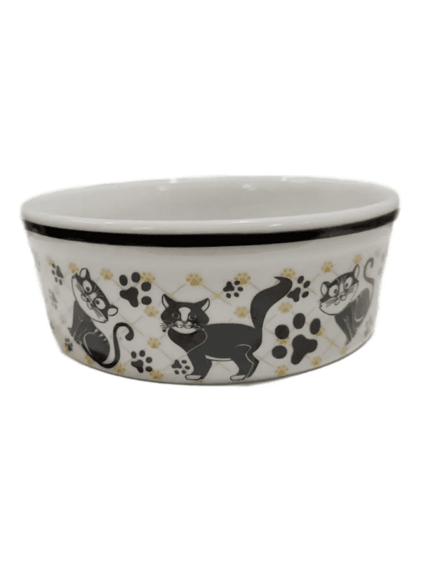 Comedouro Porcelana Gatos 600ml