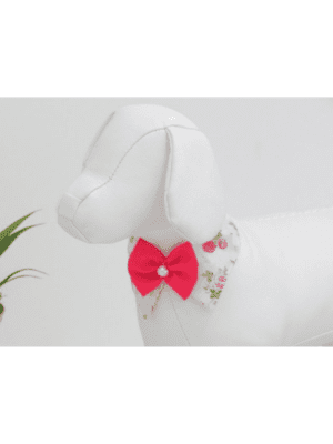Gola Social Rosas Pink Fundo Branco Joy Pet Design