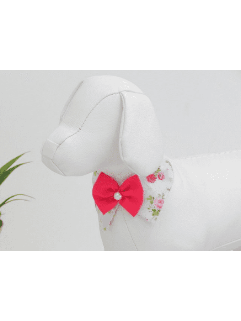 Gola Social Rosas Pink Fundo Branco Joy Pet Design